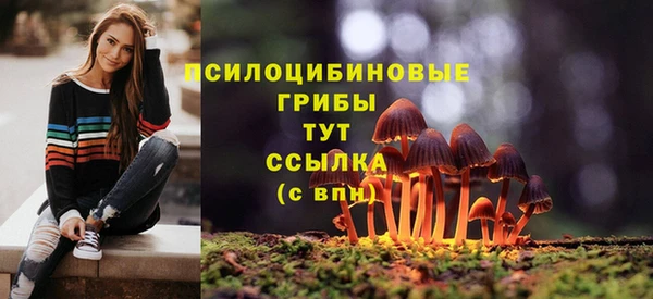 наркотики Богданович