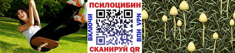 Купить закладки  Жуковский  Галлюциногенные грибы Cubensis 