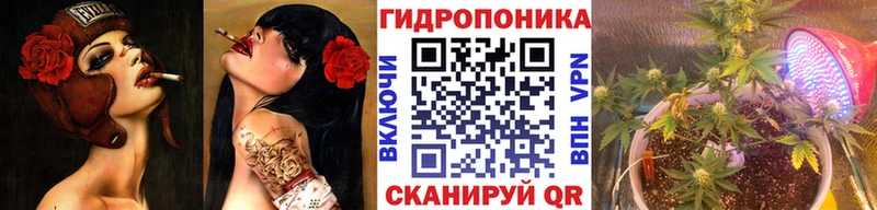 Купить закладки  Жуковский  МАРИХУАНА OG Kush 